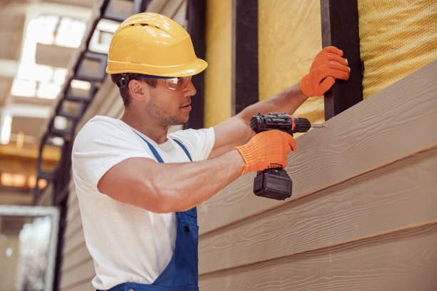 Best Composite Siding  in Schleswig, IA
