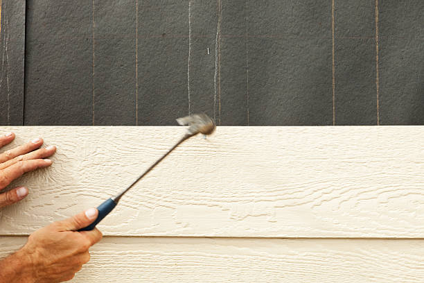 Best Weatherproofing and Sealing  in Schleswig, IA