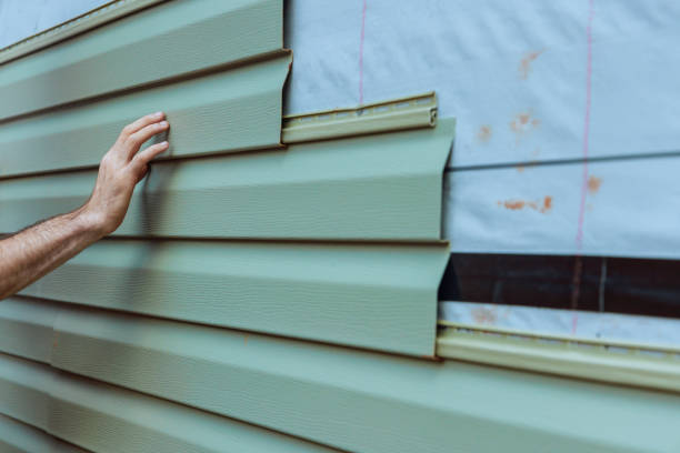 Best Custom Siding Design  in Schleswig, IA